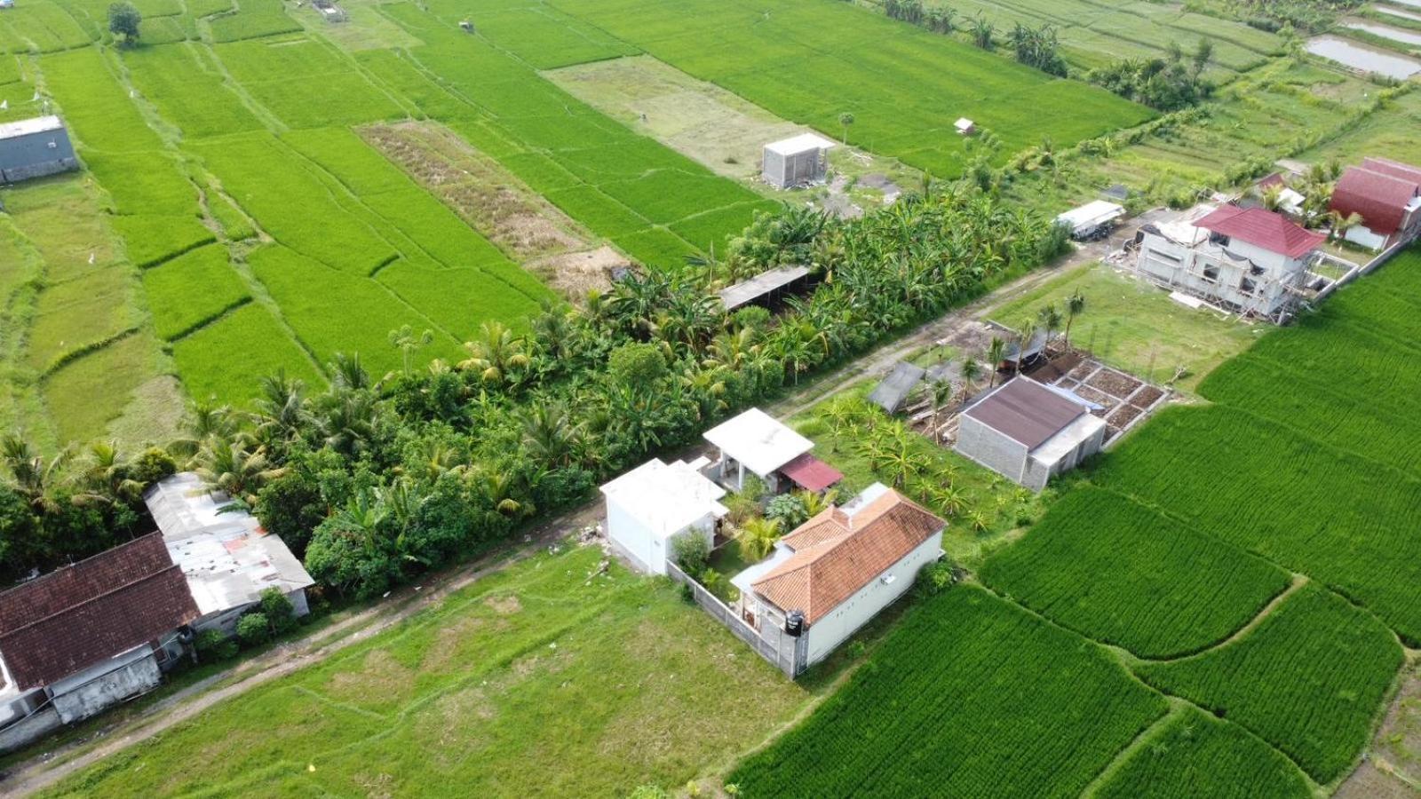 ホテル Sumbul View Surfcamp Airsatang エクステリア 写真